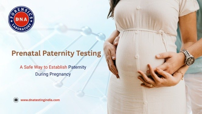 Understanding Prenatal Paternity: A Reliable Way to Establish Biological Relationship Before Birth | Vipon