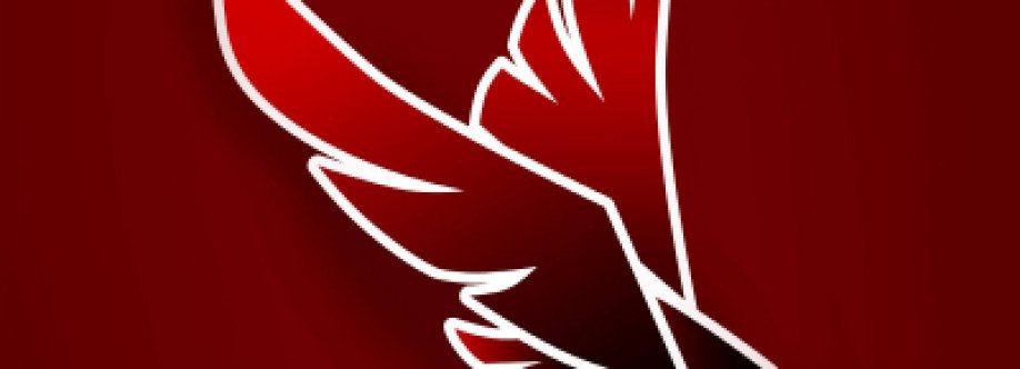 Phoenix Project Cover Image
